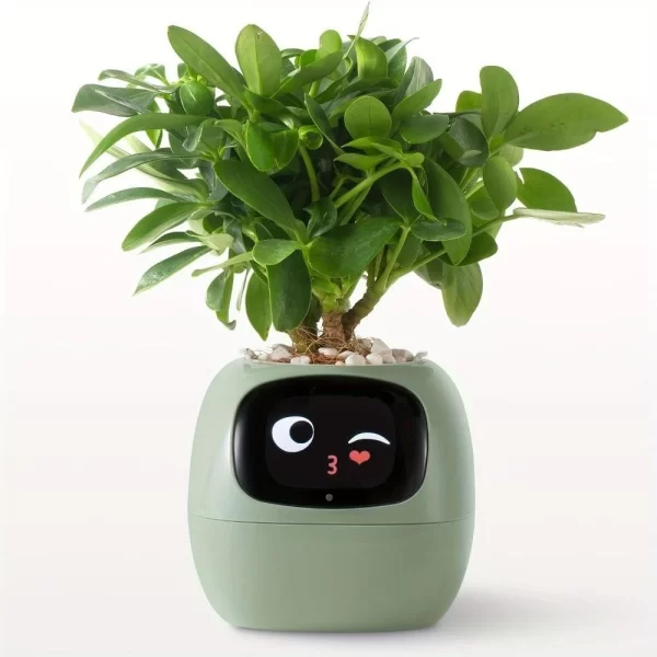 Vaso de Planta Inteligente com Sensor Tamagotchi Interação Facial